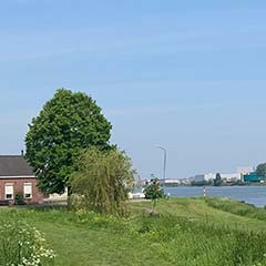 HoekseWaardt