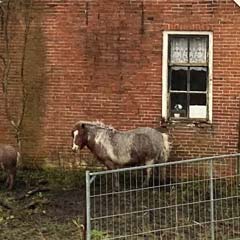 Landschap