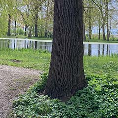 NieuweAanlegWolvega